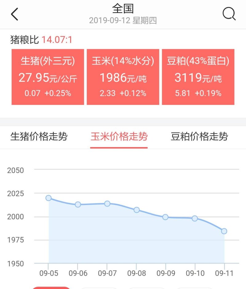 玉米价格最新行情解析