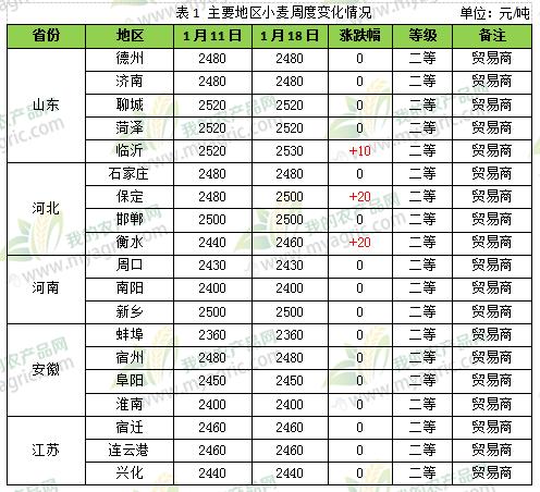 麸皮价格最新行情解析