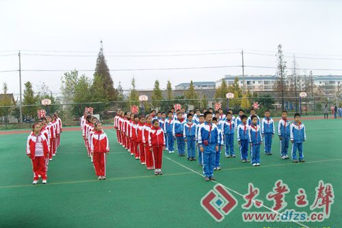 最新小学广播体操，活力与健康共舞日