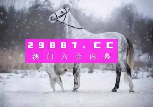 奥门一肖一码中,持续设计解析策略_XT52.860