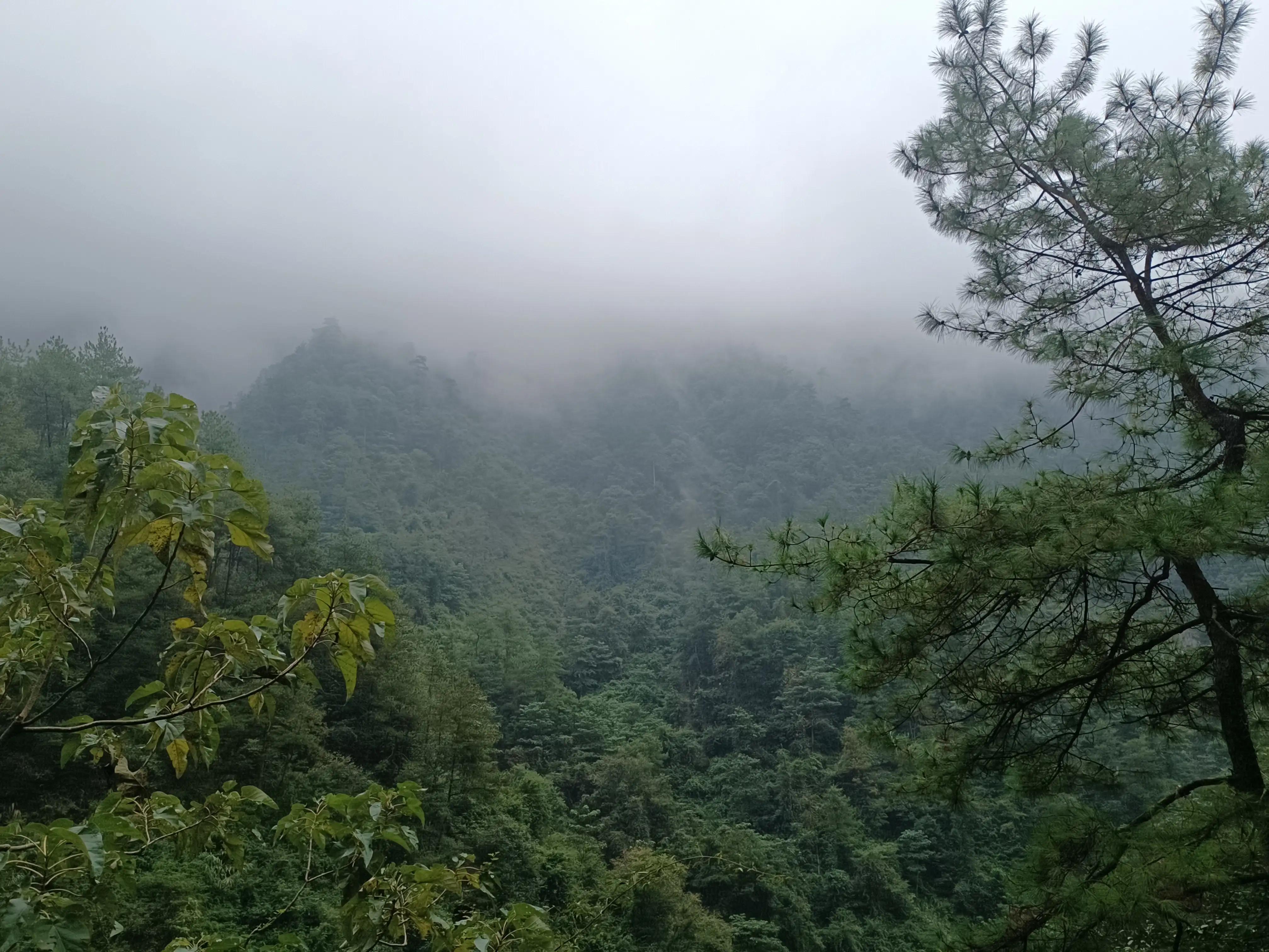 情到水穷处最新章节，命运与情感的双重升华之旅