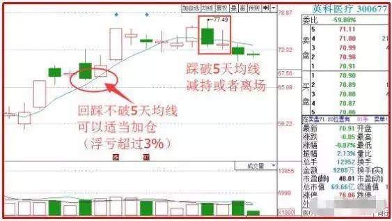 澳码精准资料天天免费,实地数据评估方案_win305.210