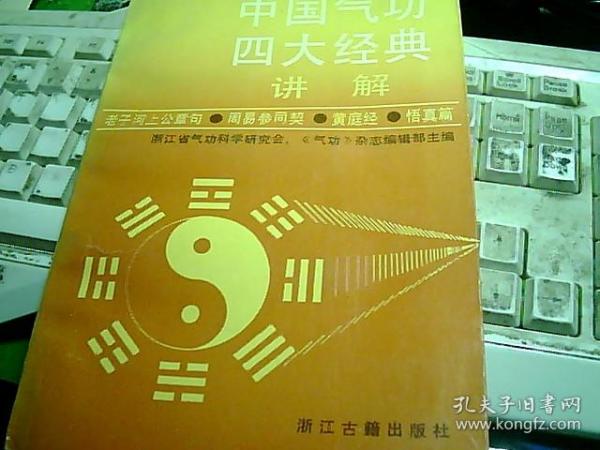 2024新澳门正版免费资料查询,经典解答解释定义_VIP41.390