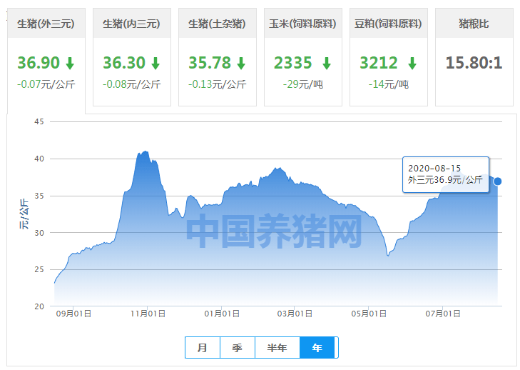 白小姐三肖三期必出一期开奖百度,整体规划执行讲解_复古款19.423