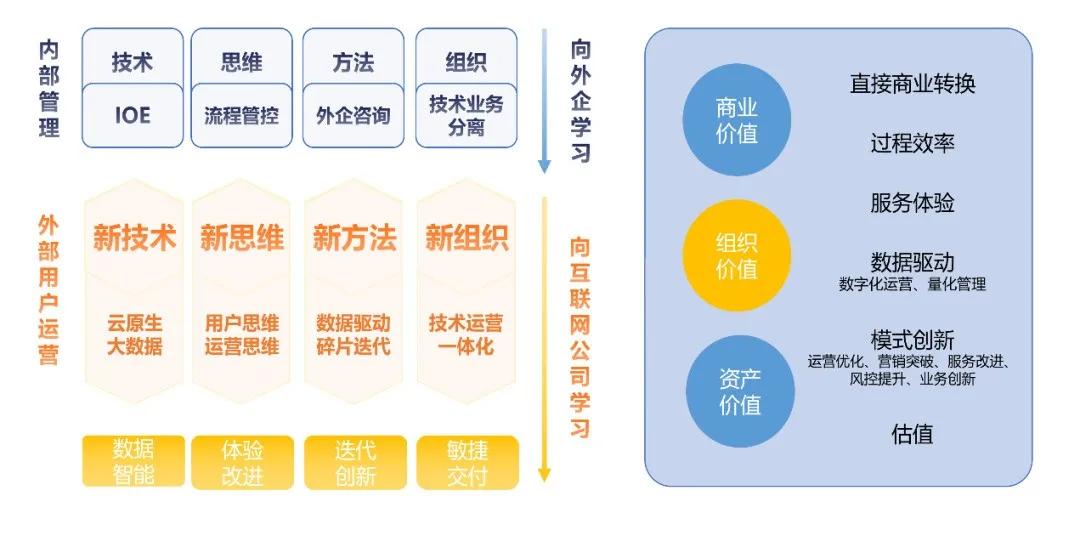 2024年新奥历史记录,全面解析数据执行_WP13.803