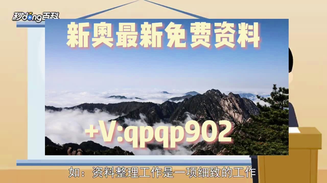 2024新奥门资料最精准免费大全,调整方案执行细节_免费版13.224