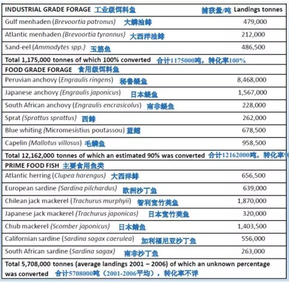 2024新澳资料大全免费下载,实地数据评估方案_静态版11.190