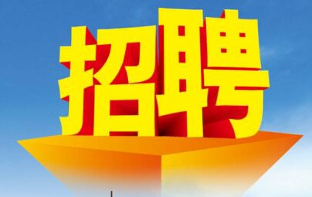 大路新区2017年人才招募全面启动，最新招聘动态揭秘