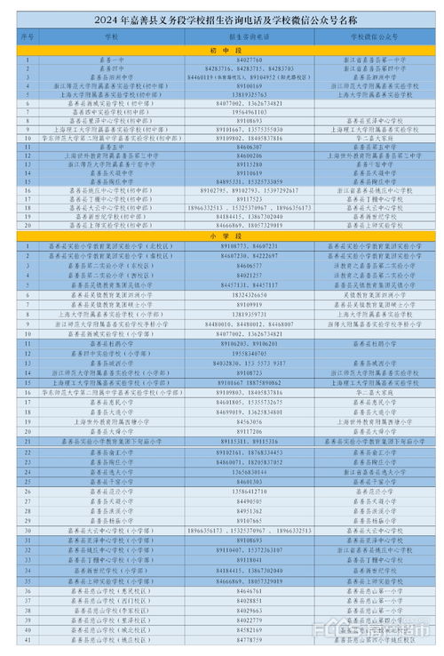 2024澳门今天晚上开什么生肖啊,全面执行计划_免费版70.116