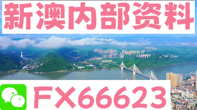 新澳精准资料免费提供网站,数据驱动执行方案_影像版80.730