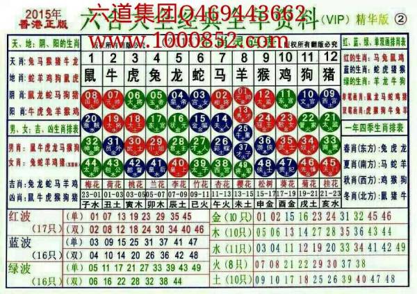 2024十二生肖49码表,稳定评估计划_HD11.657