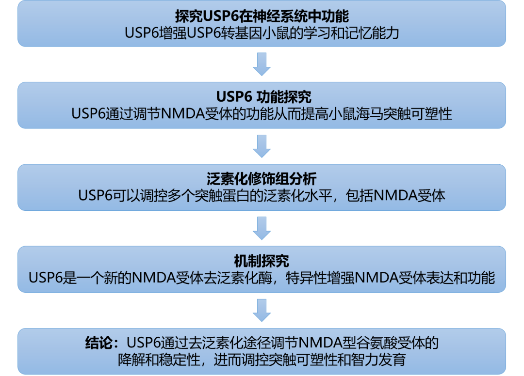 新奥天天精准资料大全,灵活性方案解析_N版47.759