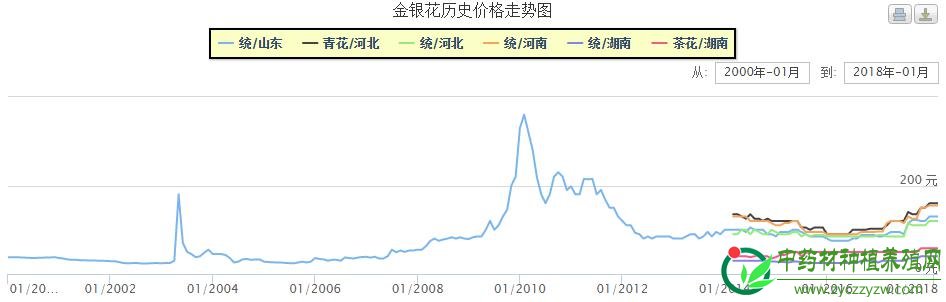 金银花最新行情探讨，XXXX年市场趋势分析