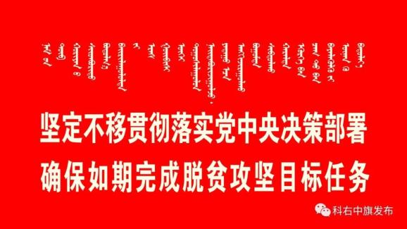 科右中旗最新招聘信息总览