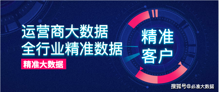 管家婆资料精准一句真言,数据解析支持设计_游戏版256.184