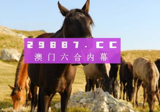 澳6图库app下载,定性分析解释定义_C版53.525