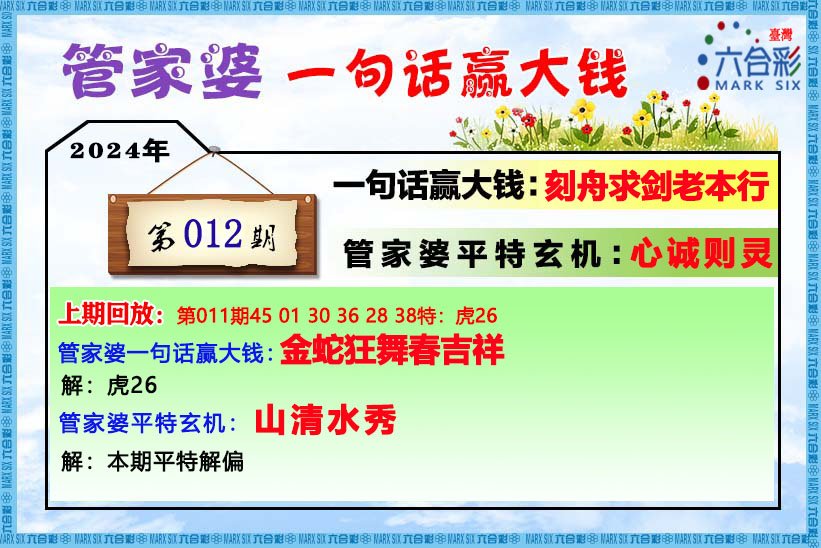 202管家婆一肖一码,实效设计解析_限量版18.333